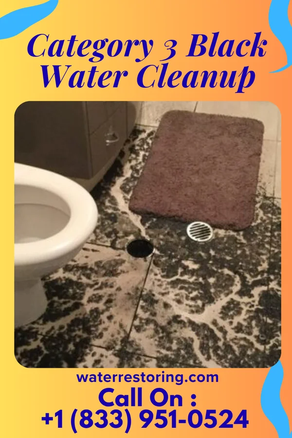 Category 3 Black Water Cleanup in Metropolis, IL