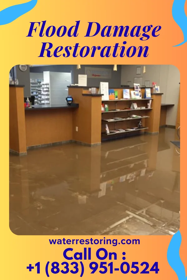 Flood Damage Restoration in Metropolis, IL