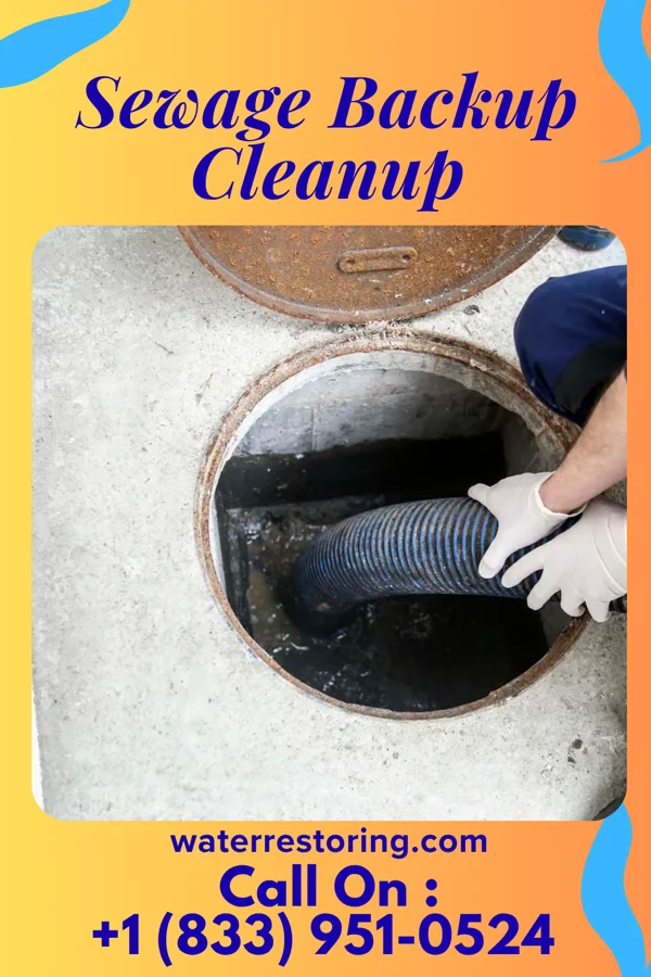 Sewage Backup Cleanup in Metropolis, IL