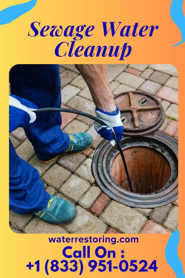 Sewage Water Cleanup in Metropolis, IL