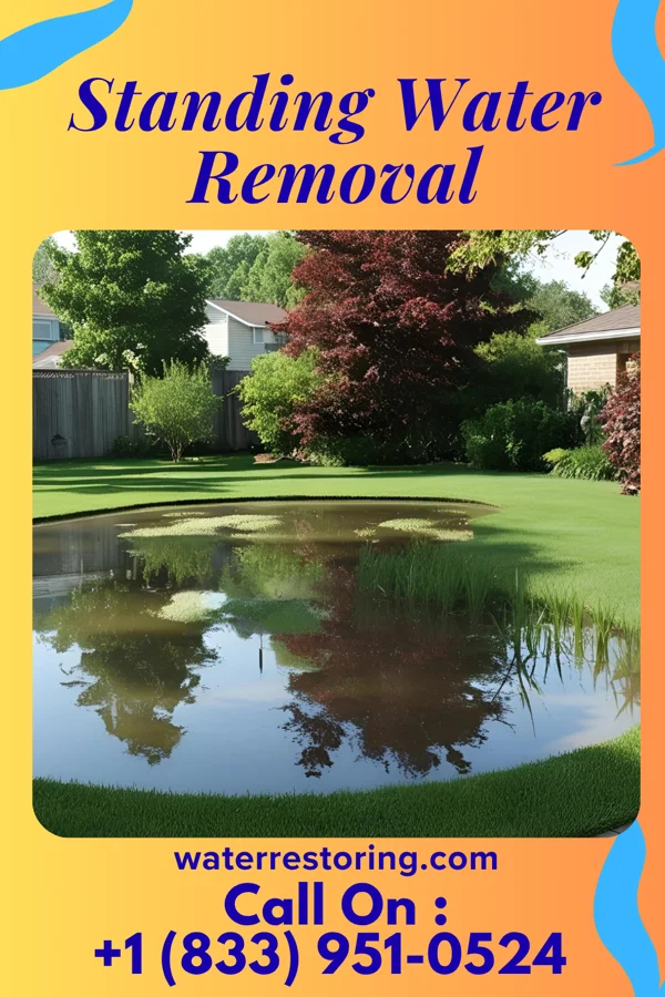 Standing Water Removal in Metropolis, IL